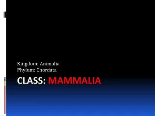 CLASS: MAMmALIA