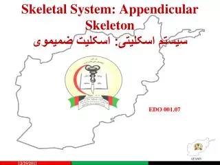 Skeletal System: Appendicular Skeleton سیستم اسکلیتی: اسکلیت ضمیموی