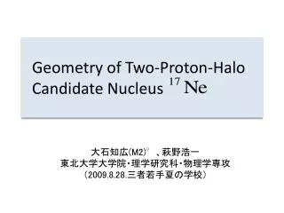 Geometry of Two-Proton-Halo Candidate Nucleus