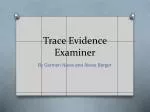 Trace Evidence Examiner - slide 1