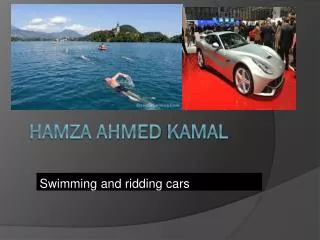 Hamza ahmed kamal