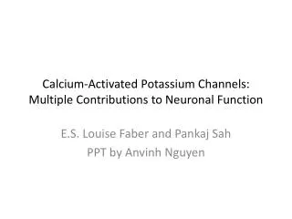 Calcium-Activated Potassium Channels: Multiple Contributions to Neuronal Function