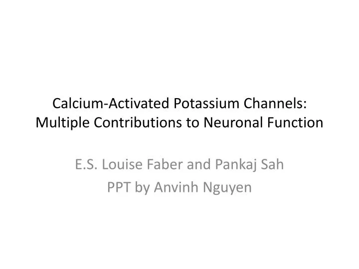 calcium activated potassium channels multiple contributions to neuronal function