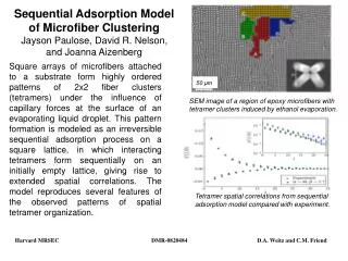 Sequential Adsorption Model of Microfiber Clustering Jayson Paulose, David R. Nelson,