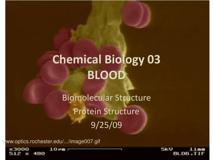 chemical biology 03 blood