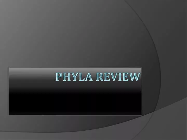 phyla review