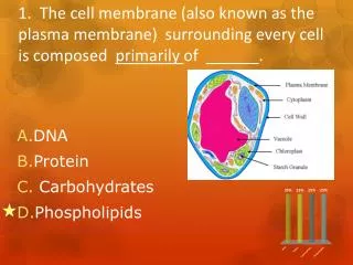 DNA Protein Carbohydrates Phospholipids