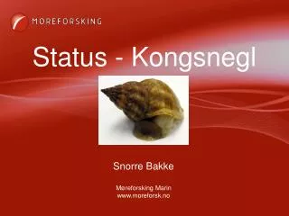 Status - Kongsnegl