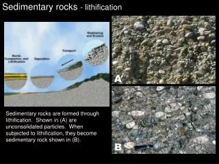 Sedimentary rocks - lithification