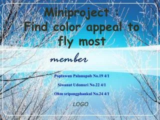Miniproject : Find color appeal to fly most