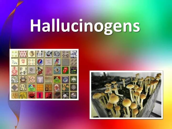 hallucinogens