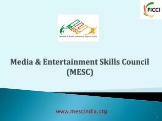 Media &amp; Entertainment Skills Council (MESC)