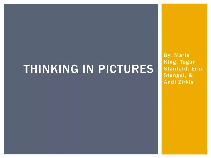 thinking in pictures