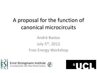 A proposal for the function of canonical microcircuits