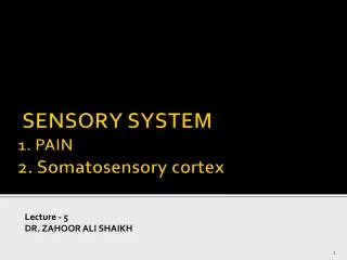 SENSORY SYSTEM 1. PAIN 2. Somatosensory cortex