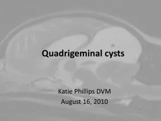 Quadrigeminal cysts