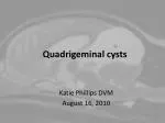 Quadrigeminal cysts - slide 1