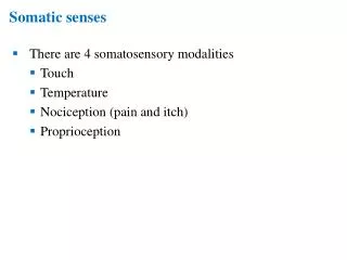 Somatic senses