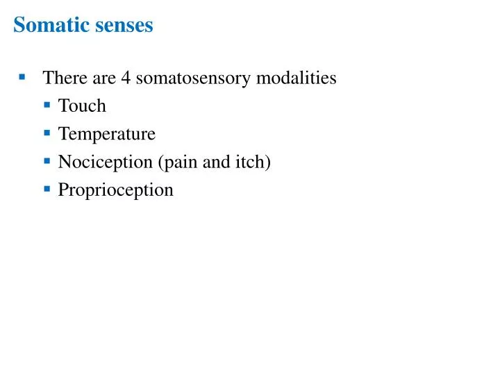 somatic senses