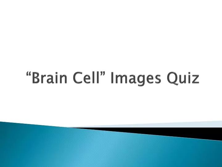 brain cell images quiz