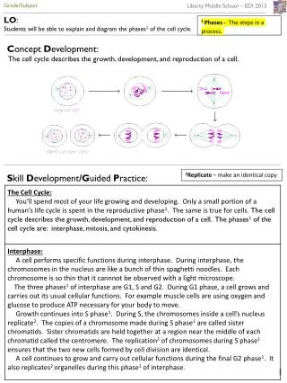 LO : Students will be able to explain and diagram the phases 1 of the cell cycle.