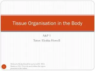 Tissue Organisation in the Body