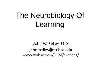 The Neurobiology Of Learning