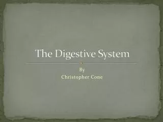 The Digestive System