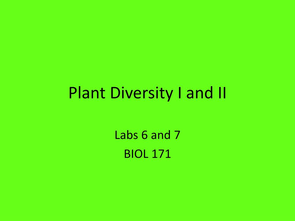 PPT - Plant Diversity I and II PowerPoint Presentation, free download ...