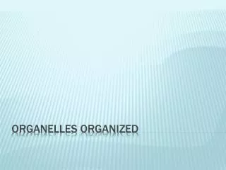 Organelles organized
