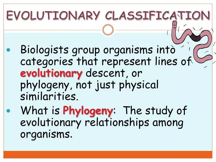 evolutionary classification