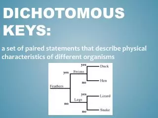 Dichotomous Keys: