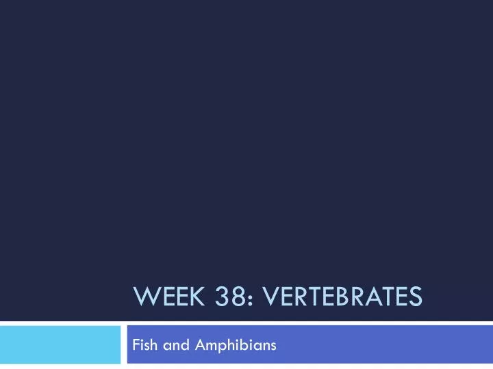 week 38 vertebrates