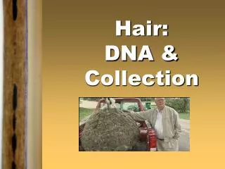 Hair: DNA &amp; Collection