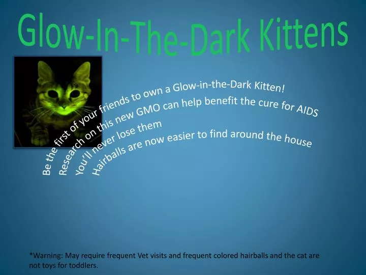 glow in the dark kittens