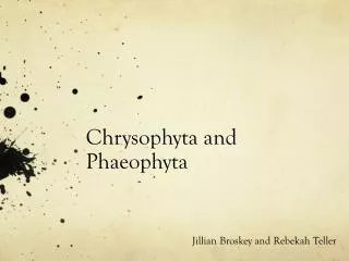 Chrysophyta and Phaeophyta