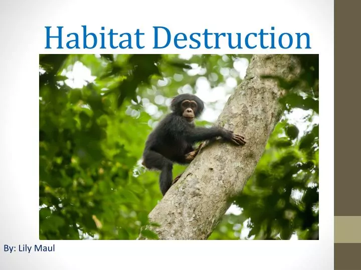 habitat destruction