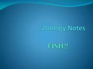 zoology notes