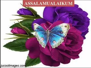 ASSALAMUALAIKUM