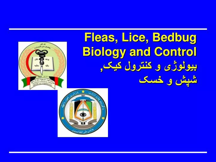 fleas lice bedbug biology and control