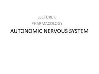 autonomic nervous system