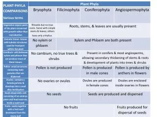 Bryophyta