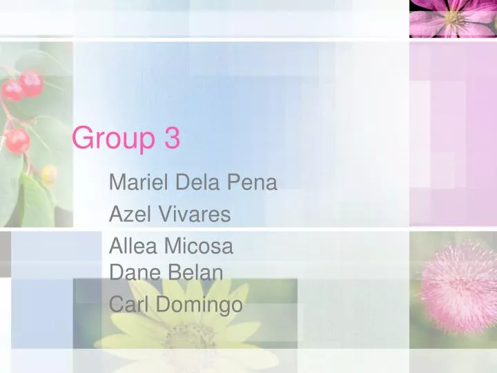 group 3