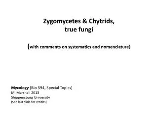 Zygomycetes &amp; Chytrids , true fungi ( with comments on systematics and nomenclature)