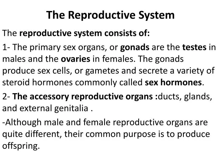 the reproductive system