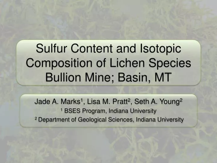 sulfur content and isotopic composition of lichen species bullion mine basin mt