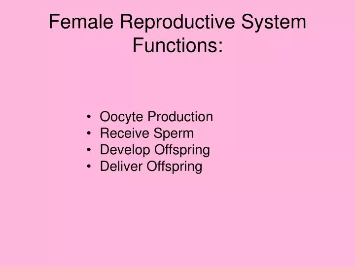 female reproductive system functions