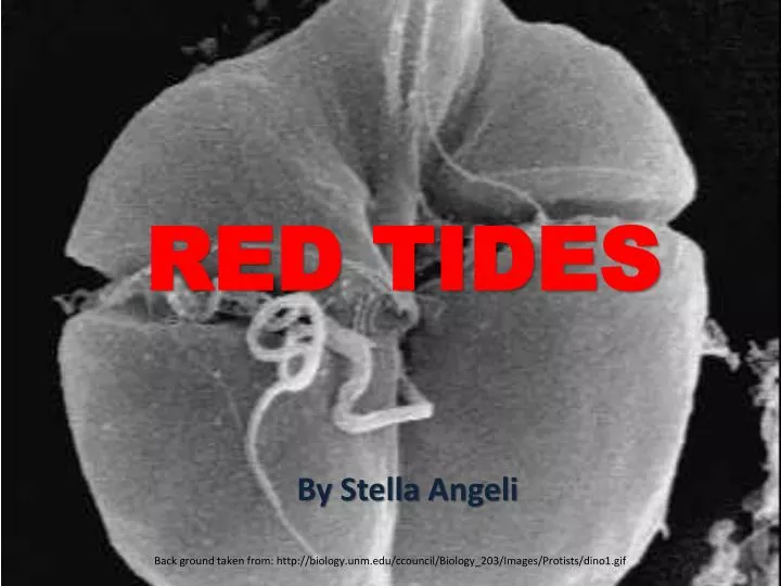 red tides