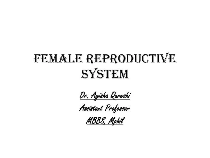 female reproductive system