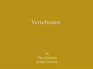 vertebrates